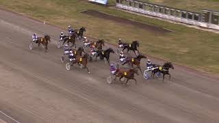 Vidéo de la course PMU PRIX TERRE ROUGE