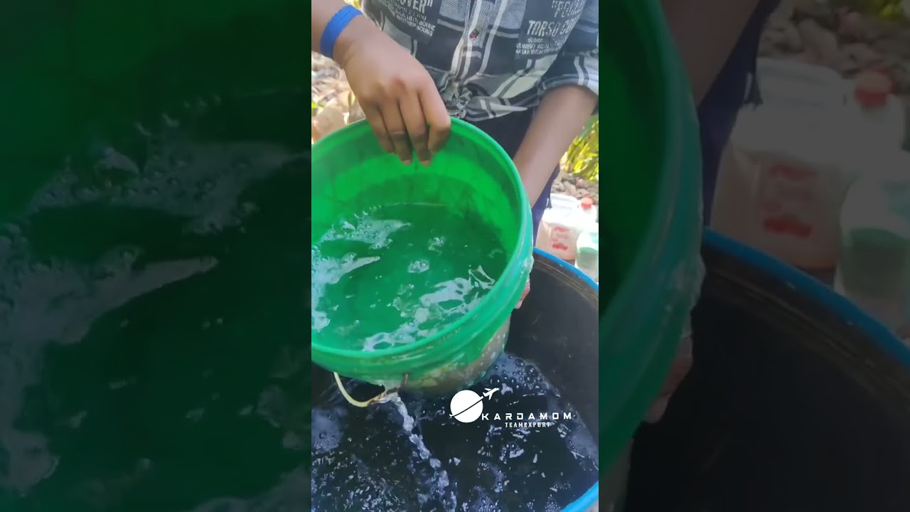 Some seek gold . I seek pantry stocked with cardamom 🌱🌱🪴