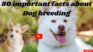 Unveiling the Art of Responsible Dog Breeding: Preserving Breeds, Ensuring Health. by Animals World 4k 110 views 10 months ago 13 minutes, 55 seconds