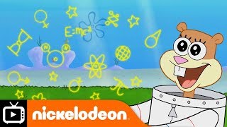 SpongeBob SquarePants | Sandy's Studies | Nickelodeon UK