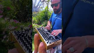 Heavy Modular Techno in a peaceful garden 🌿🎛️
