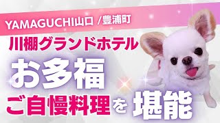 川棚グランドホテルお多福ご自慢のお料理を堪能するの巻