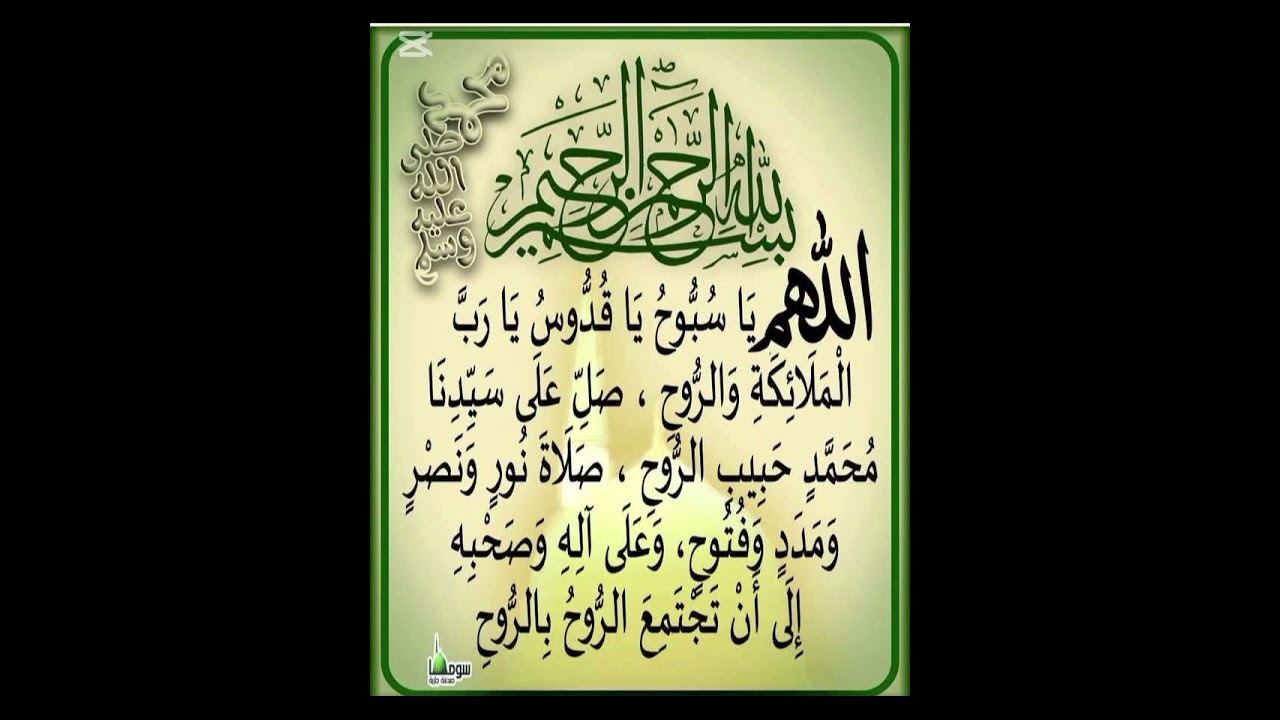 المداح شيخ علي شيخ فاضل ابو خمره في مضيف ال عنفوص الطائي 