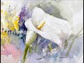 Watercolor/Aquarela -Demo - Calla Lily Demo/Copo de Leite