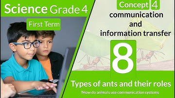 How do animals use communication systems? Types of ants and their roles