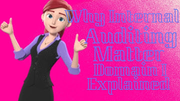 Why Internal Auditing Matters: Domain I Explained. Watch This