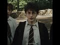 ᴍᴏᴅᴇʟᴏ ᴅɴᴠ 💔//#harrypotter#fyy#fypage#potterhead#edit#desflopacomu#hogwarts#jamespotter#foryou#viral