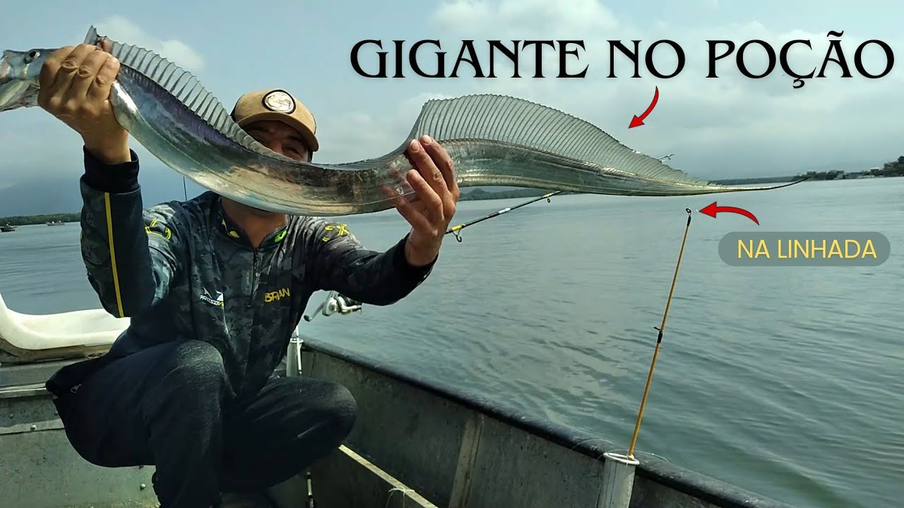 Peixe Espada GIGANTE no Canal de São Vicente