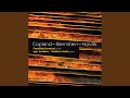 Sonata for Violin and Piano: II. Lento