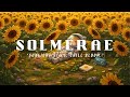 Breathe Like Sunlight ☀️ SOLMERAE | Lofi Chill Beats for Relaxation, Study & Creative Warmth 🌻📗