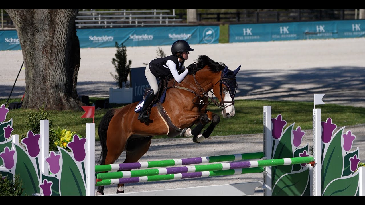 1.15m Jumper at HITS Ocala
