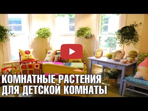 Растения в детской
