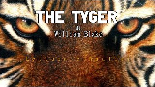 Letteratura Inglese | William Blake (2 di 2): analisi di "The Tyger" (Songs of Experience)