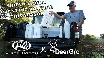 Planting Great Food Plots Doesn