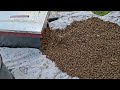 Zwerm vangen 🐝 | 1 Uur Bijen beetje ASMR & Rustige Imker beeld