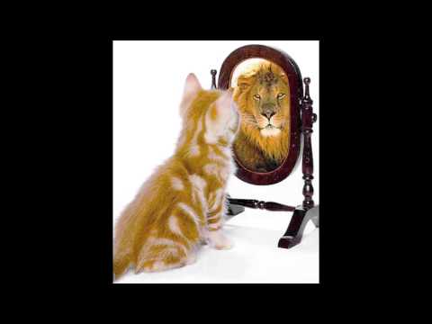 The Biter Bitten - Such A Big Head Coming Down