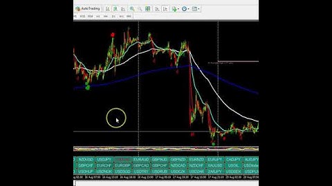 CMFXPRO Forex Indicator has officially Launched
