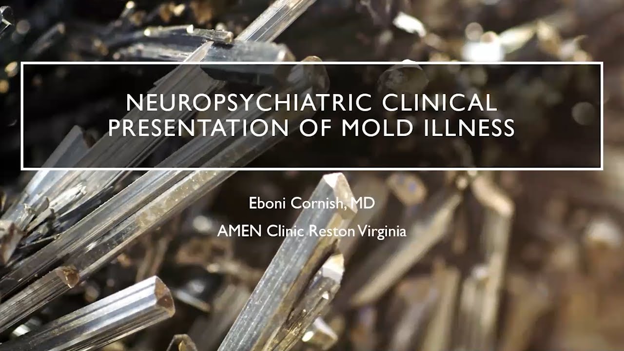 Neuropsychiatric Clinical Presentation of Mold Illness - YouTube