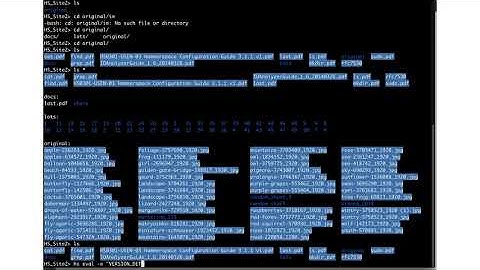 Hammerspace Demo Video