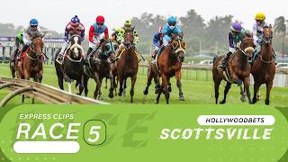 Vidéo de la course PMU PRIX GALLOP TV MAIDEN PLATE