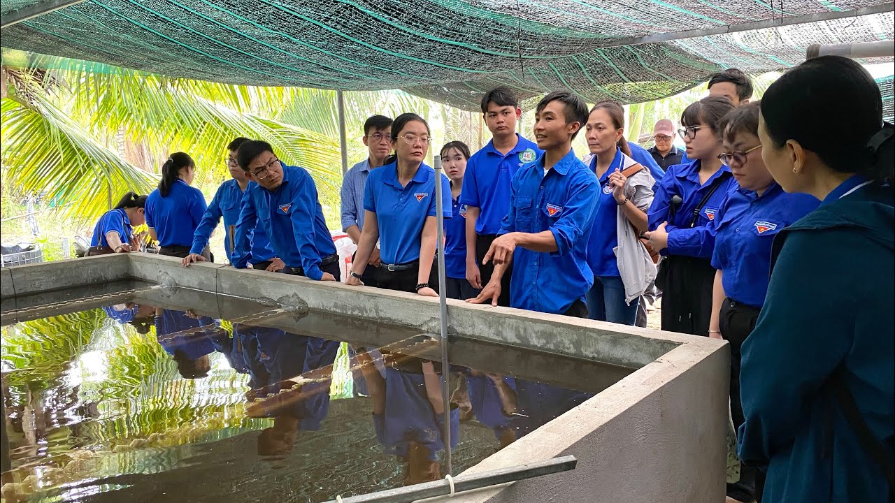 Mô Hình Khởi Nghiệp Nuôi Cá Chạch Lấu Trong Bể Tuần Hoàn Nước Tại Bến Tre || VINABIOMUSH 0986854506