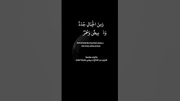 أجمل التلاوات الخاشعة