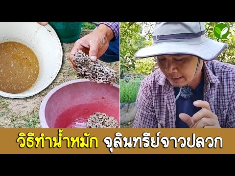 ขั้นตอนการทำแบบละเอียด