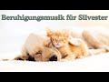 🐾 Sanfte Beruhigungsmusik für Hunde und Katzen an Silvester 🎶✨ – 11,5 Stunden pure Entspannung Mp3 Song