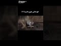 تكفا يا جراح تكفا يا جراح