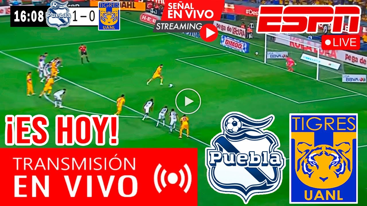 Puebla vs Tigres EN VIVO🔴 donde ver y a qué hora juega Puebla vs Tigres ...