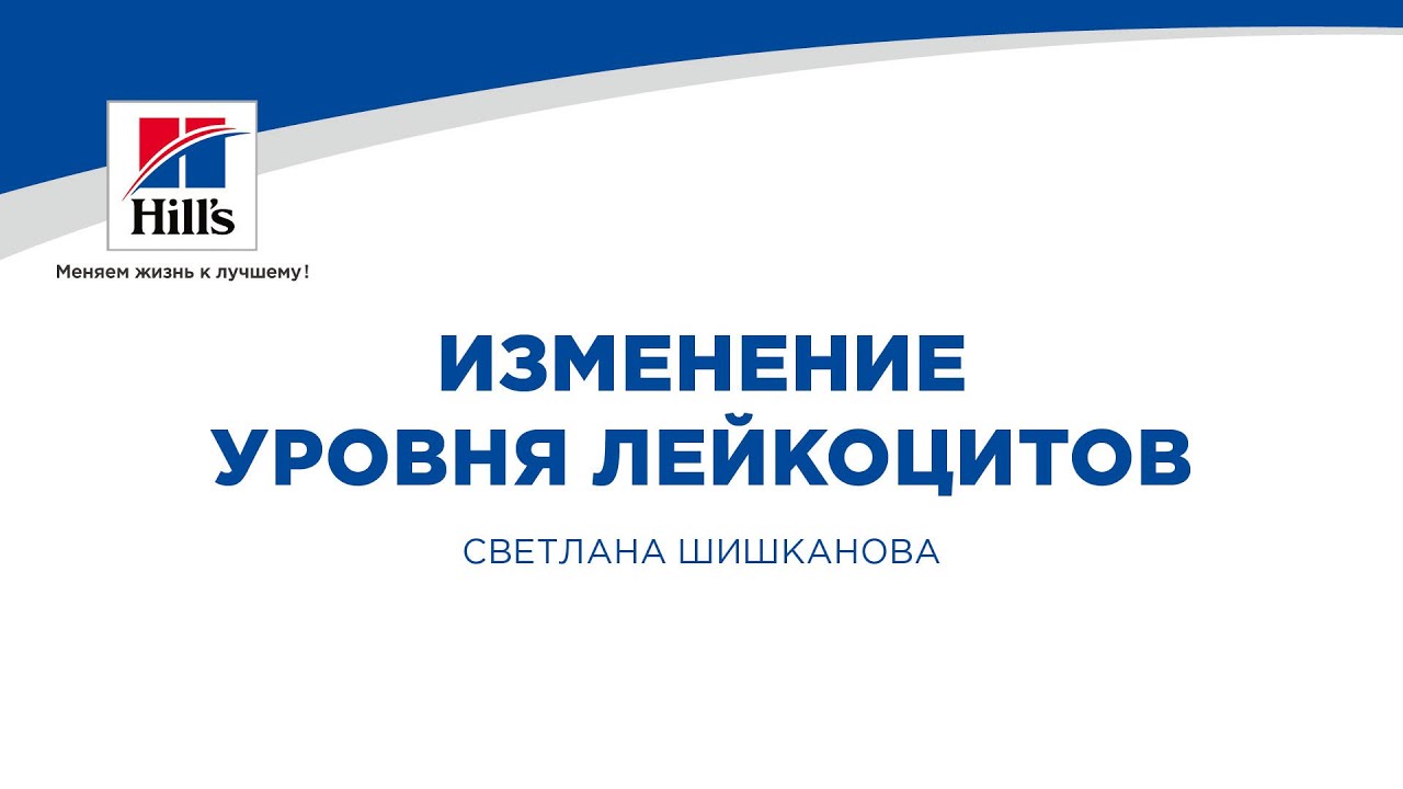 Вебинар на тему: "Изменение уровня лейкоцитов." Лектор - Светлана Викторовна Шишканова.