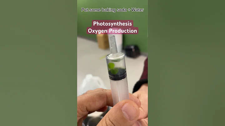 Nature's Magic: Photosynthesis Experiment with Baking Soda | Dive into the Oxygen Wonderland!