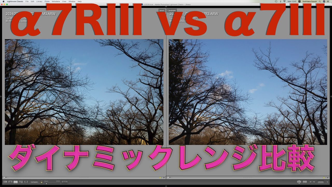 ソニー α7RIII vs α7III・ダイナミックレンジの比較・7RIIIのDRが広い