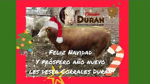 Qu acaba de llegar a Corrales Durn?