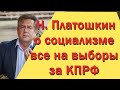 Критика мнения Николая Платошкина о социализме. Часть первая. ЖЕСТЬ!