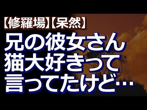 【修羅場】【呆然】 兄が結婚したい彼女がいると家に女性を連れてきた。猫を飼っているので、事前に猫の話をしたら『猫大好きって言ってる』と言われて安心していたら…。