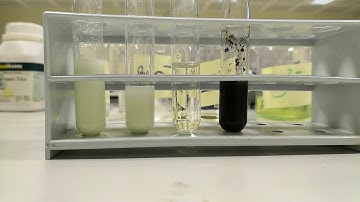 Qualitative analysis of anions