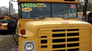 1986 International Bluebird 9.0L 72 Psgr 4800