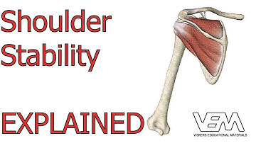 Shoulder Joint Stability