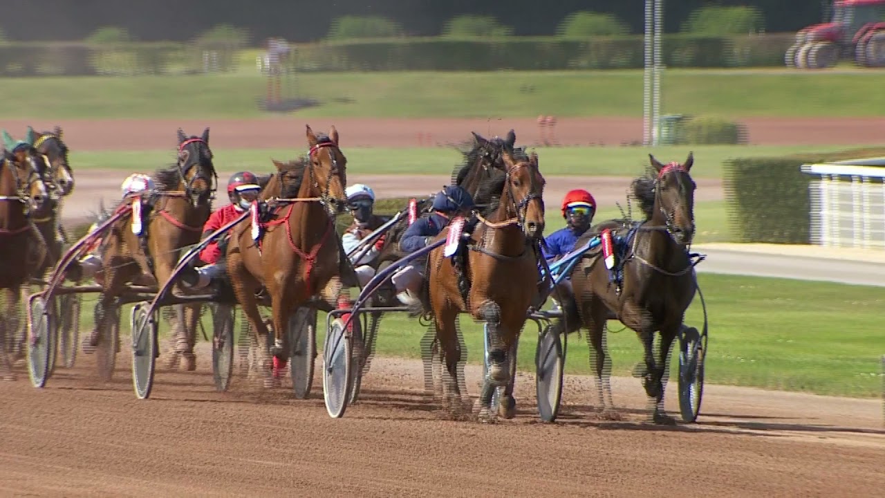 SULKY SUMMER RACES 4 ANS - Qualif#2 2021 - La course - HIRONDELLE SIBEY
