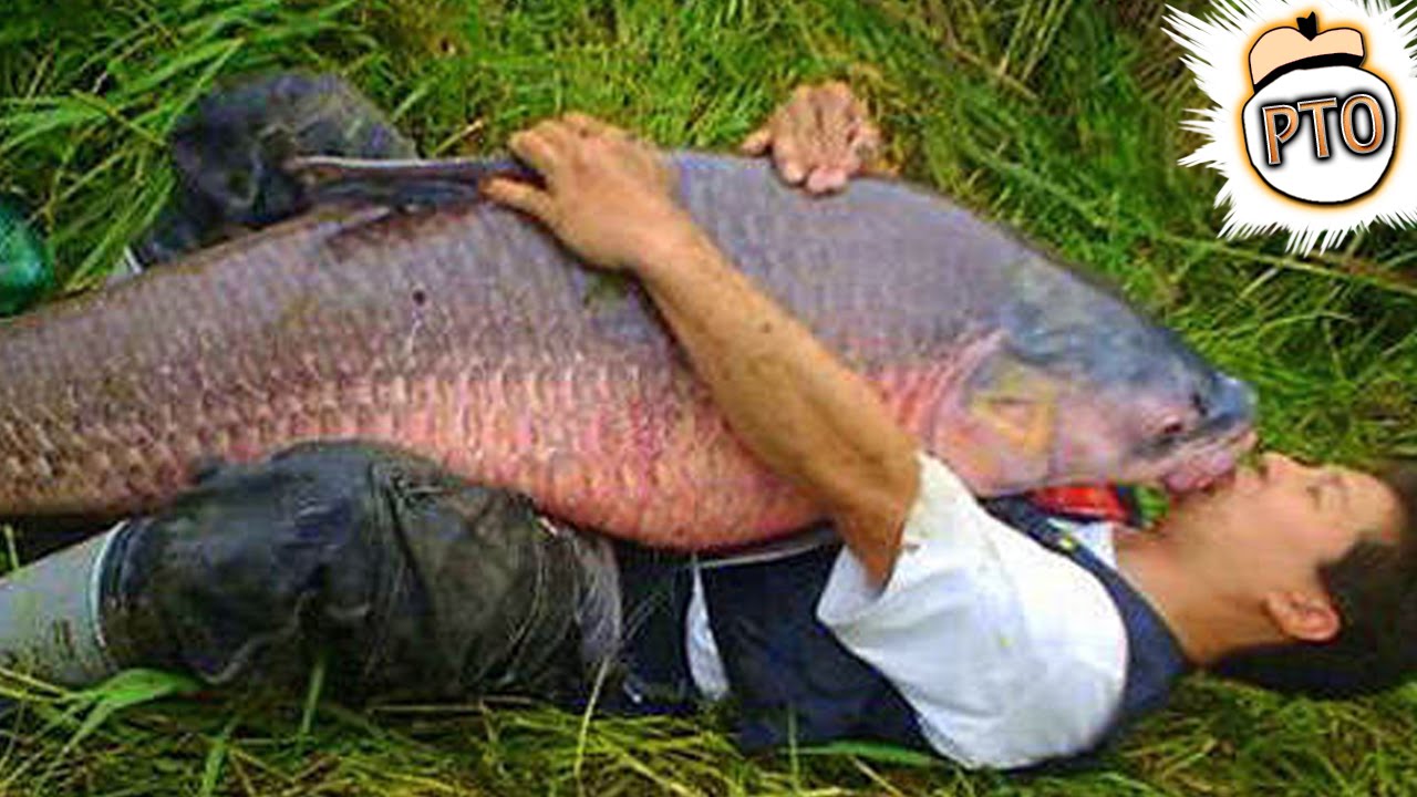 10 Laws You’ve Broken Without Realising