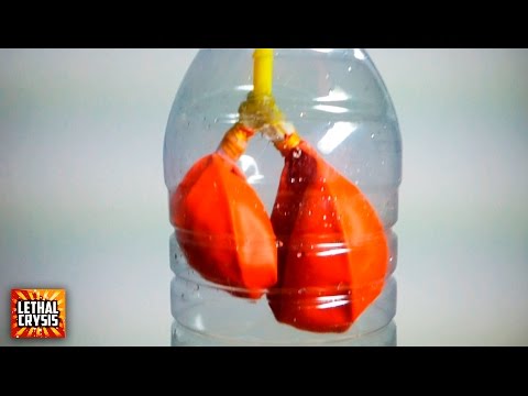 Cómo hacer unos Pulmones Caseros que respiran (Proyecto de Ciencias)