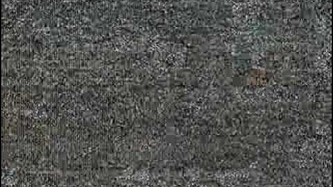 Metroid Prime 2 Galactic Federation Soldiers