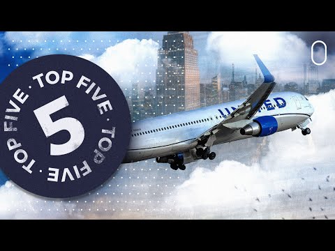 Vídeo: Simó El Conill Gegant Mor Misteriosament En El Vol De United Airlines