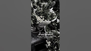 حالات دينيه//تلاوة هادئة//القرآن الكريم//الطور العراقي//القارئ عامر الكاظمي #قرآن #القرآن_الكريم