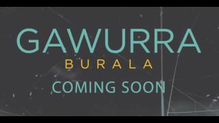 Video thumbnail of "Gawurra | Burala (Diving Duck) Preview"