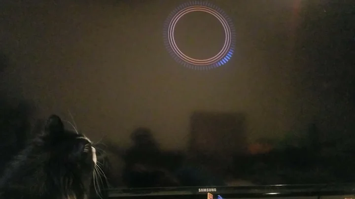 Mr. Tibbs vs the Loading Screen