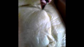 Big apple pet supply unboxing