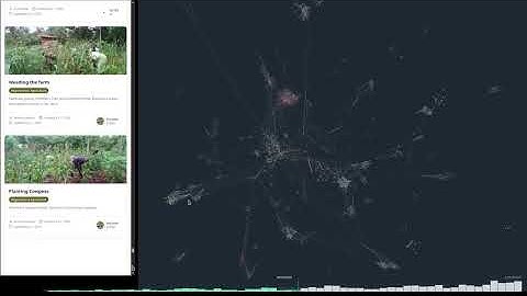 Cosmo-Local Network on Celo