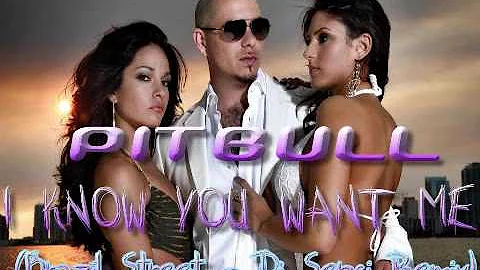 Pitbull feat. Calle 8 - I know you want me (Brazil Street Dj SenSi Remix)